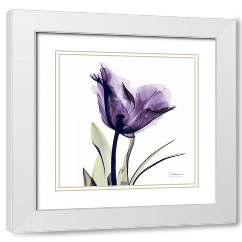 Tulip Dream White Modern Wood Framed Art Print with Double Matting by Koetsier, Albert