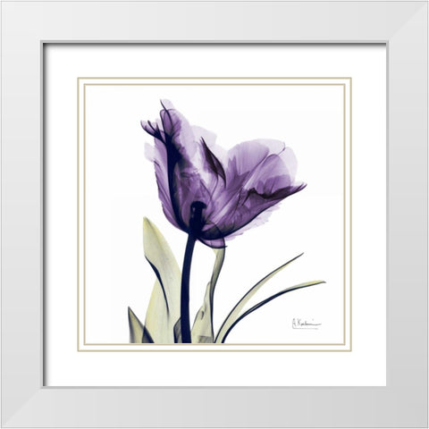 Tulip Dream White Modern Wood Framed Art Print with Double Matting by Koetsier, Albert