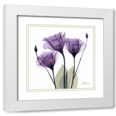 Gentian Hope White Modern Wood Framed Art Print with Double Matting by Koetsier, Albert