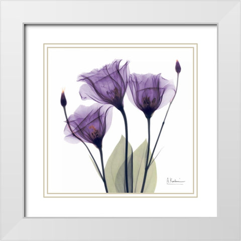 Gentian Hope White Modern Wood Framed Art Print with Double Matting by Koetsier, Albert