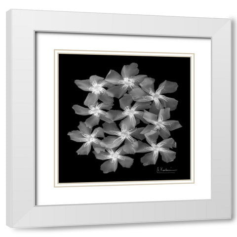 Oleander X-Ray White Modern Wood Framed Art Print with Double Matting by Koetsier, Albert