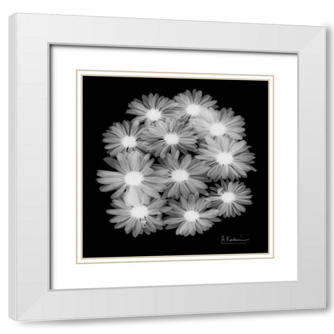 Margarithe X-Ray White Modern Wood Framed Art Print with Double Matting by Koetsier, Albert