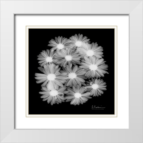 Margarithe X-Ray White Modern Wood Framed Art Print with Double Matting by Koetsier, Albert