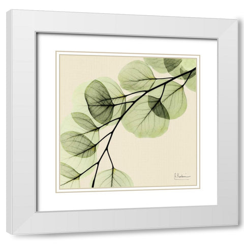 Mint Eucalyptus 1 White Modern Wood Framed Art Print with Double Matting by Koetsier, Albert