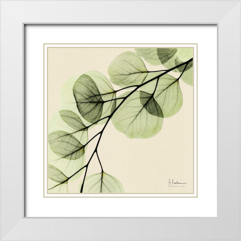 Mint Eucalyptus 1 White Modern Wood Framed Art Print with Double Matting by Koetsier, Albert