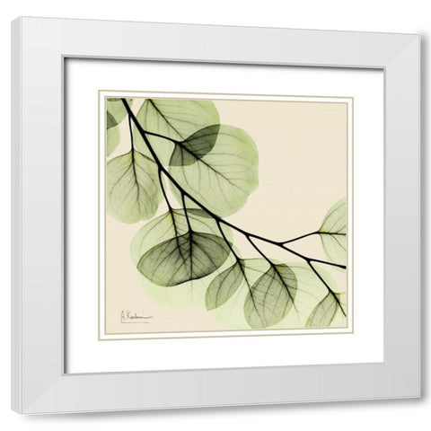 Mint Eucalyptus 2 White Modern Wood Framed Art Print with Double Matting by Koetsier, Albert