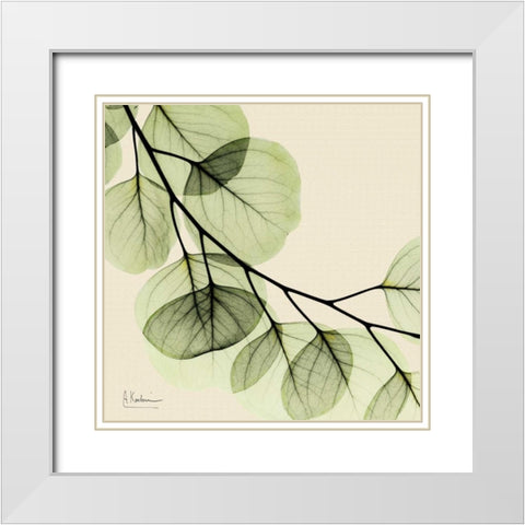 Mint Eucalyptus 2 White Modern Wood Framed Art Print with Double Matting by Koetsier, Albert