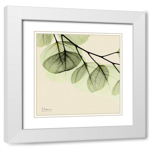 Mint Eucalyptus 3 White Modern Wood Framed Art Print with Double Matting by Koetsier, Albert