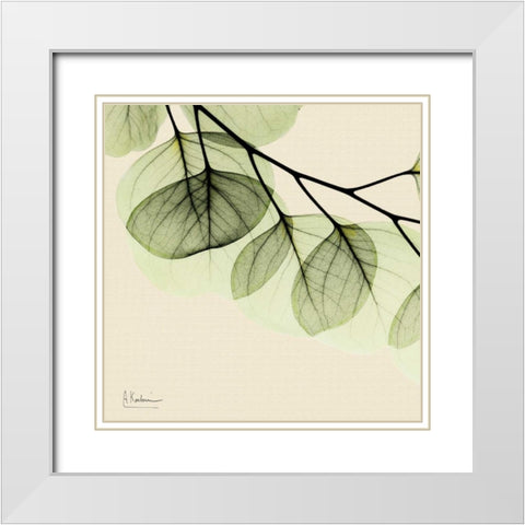 Mint Eucalyptus 3 White Modern Wood Framed Art Print with Double Matting by Koetsier, Albert