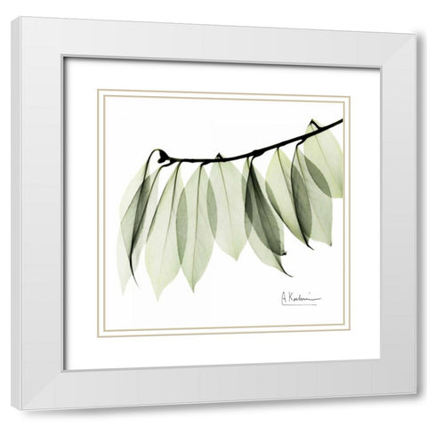 Camelia Leaf In White White Modern Wood Framed Art Print with Double Matting by Koetsier, Albert