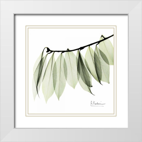 Camelia Leaf In White White Modern Wood Framed Art Print with Double Matting by Koetsier, Albert