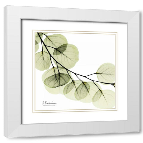 Mint Eucalyptus 2 White Modern Wood Framed Art Print with Double Matting by Koetsier, Albert