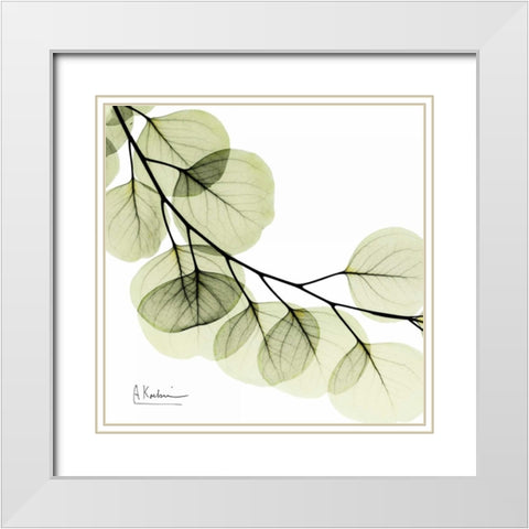 Mint Eucalyptus 2 White Modern Wood Framed Art Print with Double Matting by Koetsier, Albert