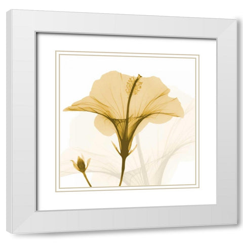 Orange Hibiscus Wave White Modern Wood Framed Art Print with Double Matting by Koetsier, Albert