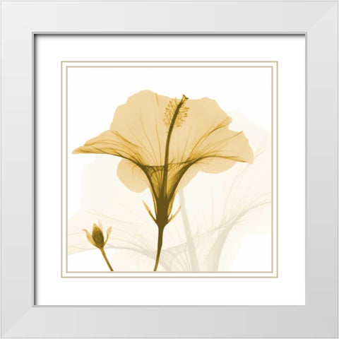 Orange Hibiscus Wave White Modern Wood Framed Art Print with Double Matting by Koetsier, Albert