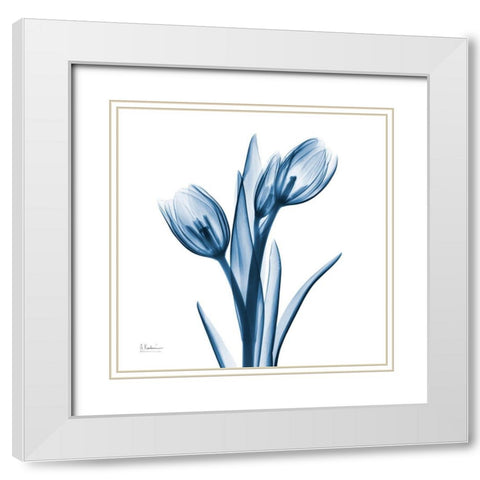 Tulips Indigo White Modern Wood Framed Art Print with Double Matting by Koetsier, Albert