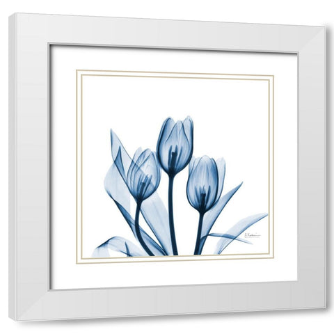 Tulips Indigo White Modern Wood Framed Art Print with Double Matting by Koetsier, Albert