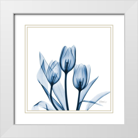 Tulips Indigo White Modern Wood Framed Art Print with Double Matting by Koetsier, Albert