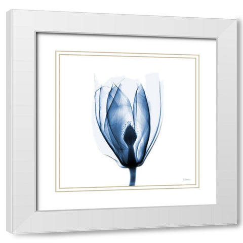 Magnolia Indigo White Modern Wood Framed Art Print with Double Matting by Koetsier, Albert