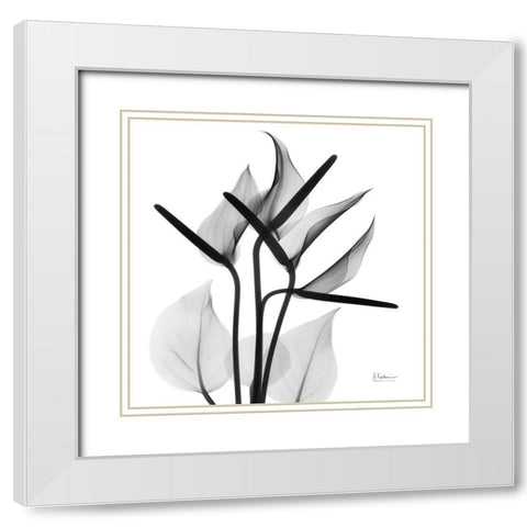 Flamingo Squared White Modern Wood Framed Art Print with Double Matting by Koetsier, Albert