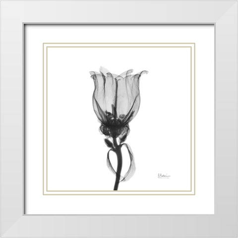 Canterbury Bell White Modern Wood Framed Art Print with Double Matting by Koetsier, Albert