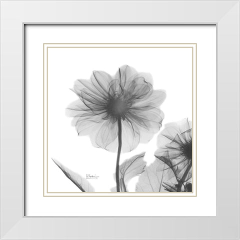 Dahlia Twins White Modern Wood Framed Art Print with Double Matting by Koetsier, Albert