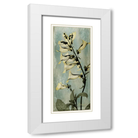 Golden Foxglove White Modern Wood Framed Art Print with Double Matting by Koetsier, Albert