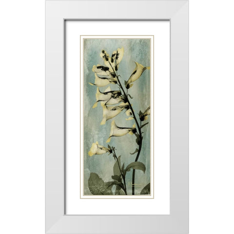 Golden Foxglove White Modern Wood Framed Art Print with Double Matting by Koetsier, Albert