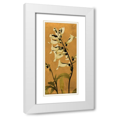 Golden Foxglove White Modern Wood Framed Art Print with Double Matting by Koetsier, Albert