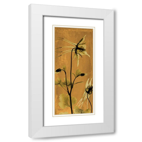 Columbine White Modern Wood Framed Art Print with Double Matting by Koetsier, Albert