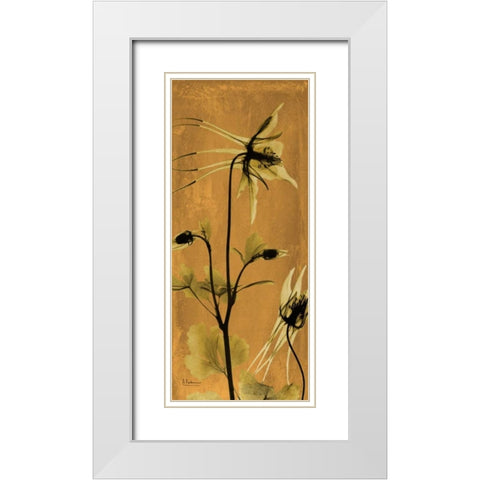 Columbine White Modern Wood Framed Art Print with Double Matting by Koetsier, Albert