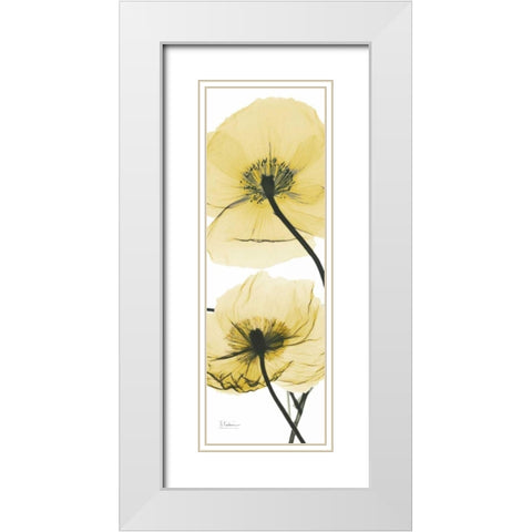 Iceland Poppy Yellow White Modern Wood Framed Art Print with Double Matting by Koetsier, Albert