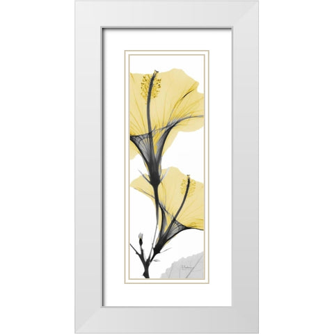 Hibiscus Yellow White Modern Wood Framed Art Print with Double Matting by Koetsier, Albert