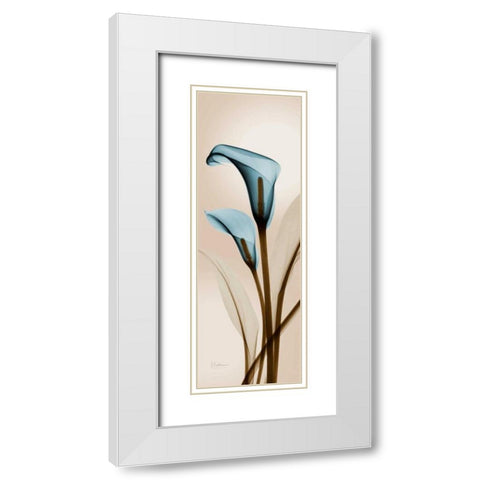 Blue Calla Lily White Modern Wood Framed Art Print with Double Matting by Koetsier, Albert