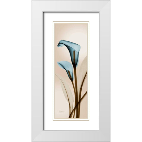 Blue Calla Lily White Modern Wood Framed Art Print with Double Matting by Koetsier, Albert