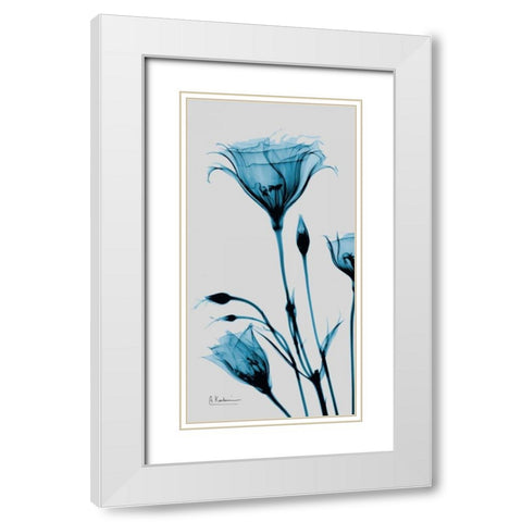 Blue Gentian White Modern Wood Framed Art Print with Double Matting by Koetsier, Albert