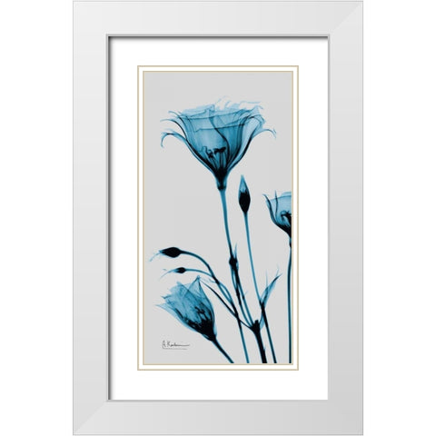 Blue Gentian White Modern Wood Framed Art Print with Double Matting by Koetsier, Albert