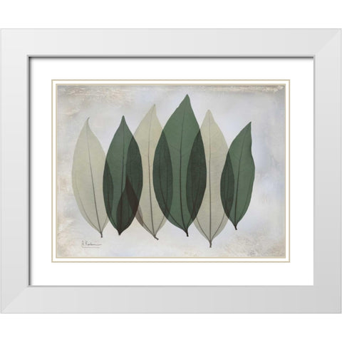 The Grays 1 White Modern Wood Framed Art Print with Double Matting by Koetsier, Albert