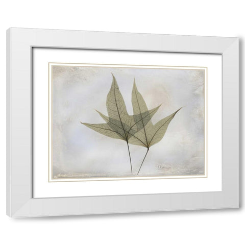 Trident Maple E217 White Modern Wood Framed Art Print with Double Matting by Koetsier, Albert