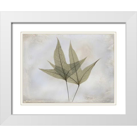 Trident Maple E217 White Modern Wood Framed Art Print with Double Matting by Koetsier, Albert