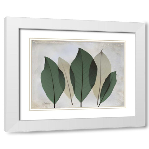 The Grays 3 White Modern Wood Framed Art Print with Double Matting by Koetsier, Albert