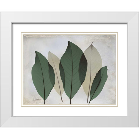 The Grays 3 White Modern Wood Framed Art Print with Double Matting by Koetsier, Albert