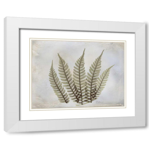 Fern White Modern Wood Framed Art Print with Double Matting by Koetsier, Albert