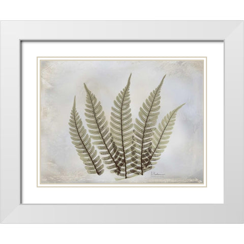 Fern White Modern Wood Framed Art Print with Double Matting by Koetsier, Albert