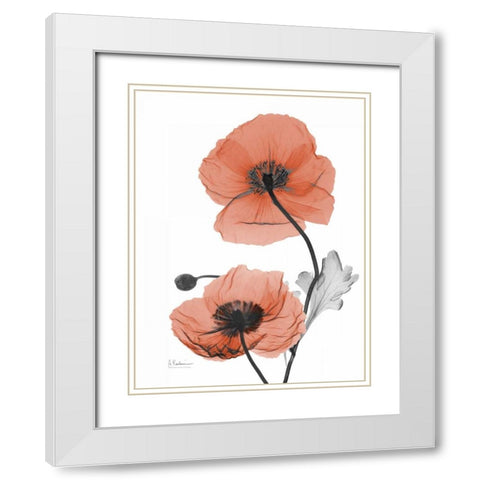 Soft Poppy White Modern Wood Framed Art Print with Double Matting by Koetsier, Albert