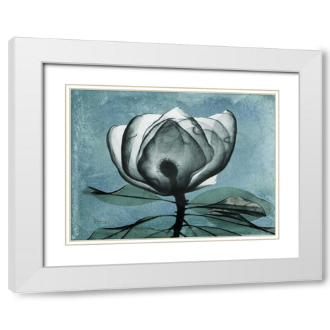 Magnolia Blues 2 White Modern Wood Framed Art Print with Double Matting by Koetsier, Albert