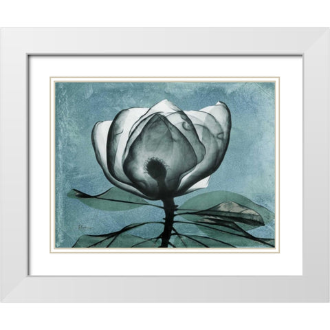 Magnolia Blues 2 White Modern Wood Framed Art Print with Double Matting by Koetsier, Albert