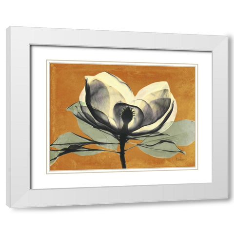 Warm Magnolia 1 White Modern Wood Framed Art Print with Double Matting by Koetsier, Albert