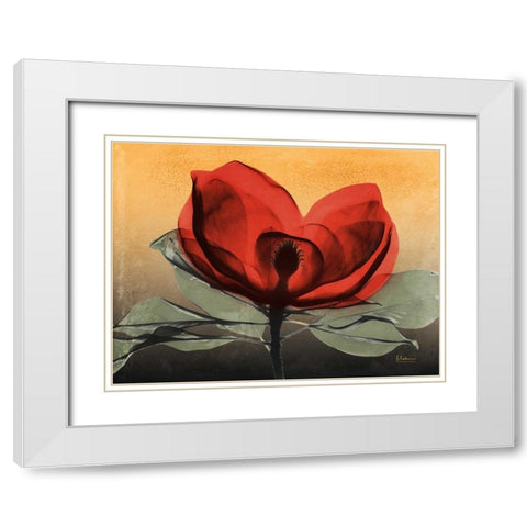 Hot Magnolia 1 White Modern Wood Framed Art Print with Double Matting by Koetsier, Albert