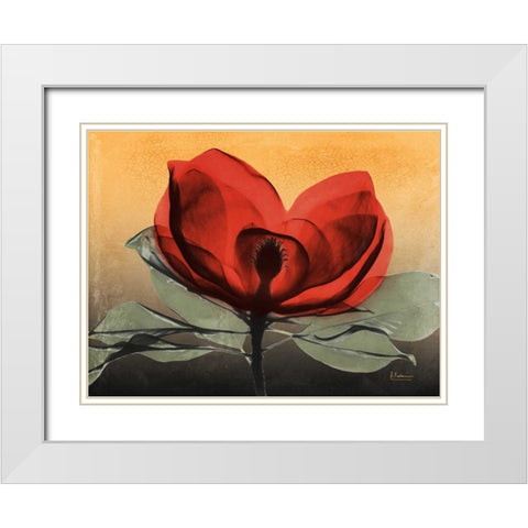 Hot Magnolia 1 White Modern Wood Framed Art Print with Double Matting by Koetsier, Albert
